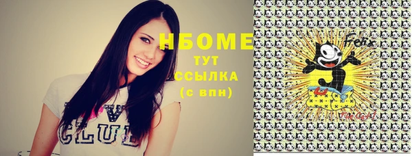 прущий лед Вязьма