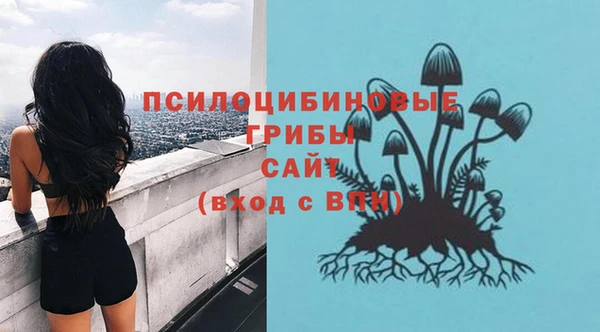 прущий лед Вязьма